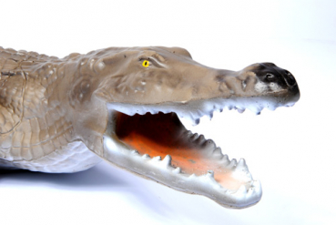 3D Tiere - Franzbogen, Krokodil 2
