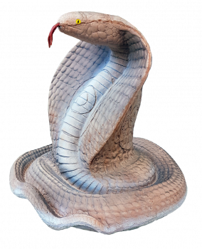 Eleven Cobra