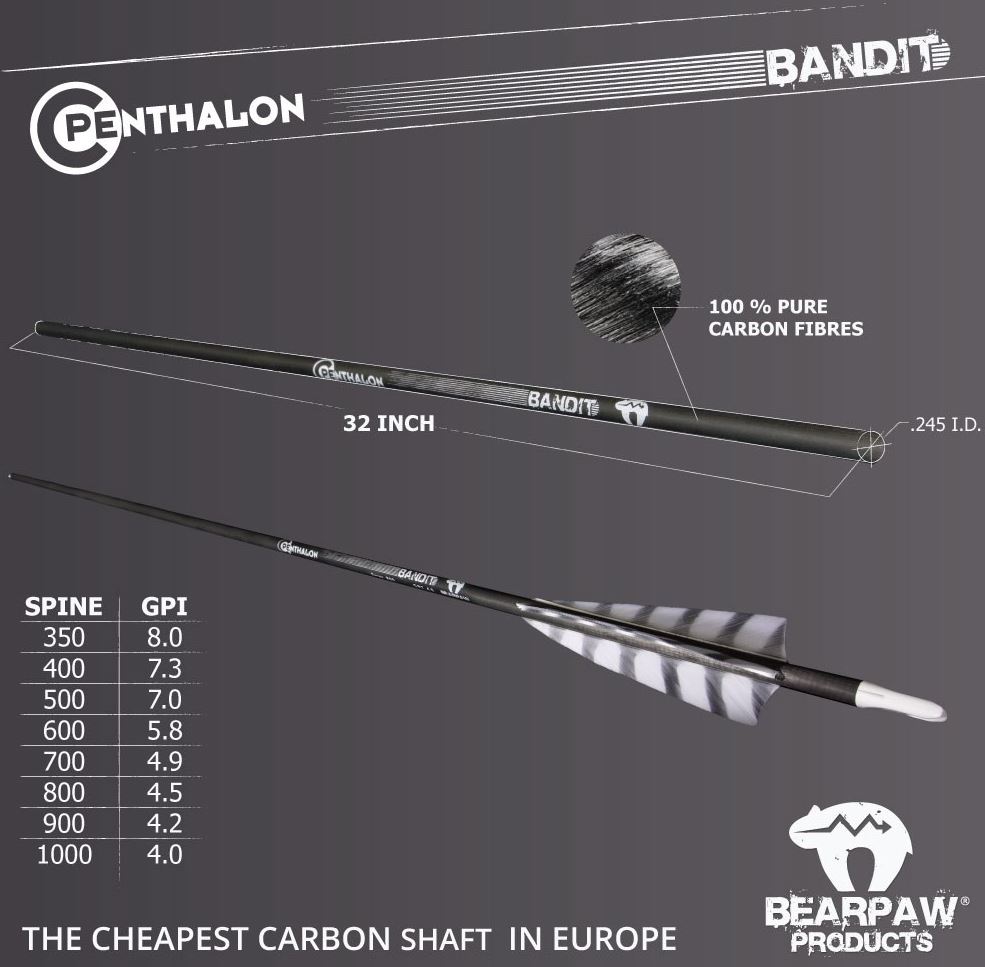 Bearpaw Penthalon Carbon Bandit 600-1000 Spine 6 Stück Wunschpfeile Fertig 