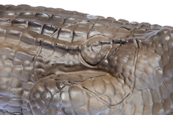 3D Tiere - Franzbogen, Krokodil 4