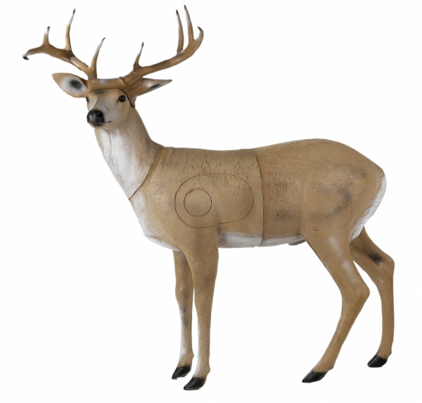 3D Tiere - Franzbogen,  stehender Hirsch