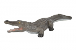3D Tiere - Franzbogen, Krokodil