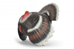 3D Tiere - Franzbogen,  balzender Truthahn